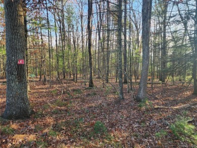 (private lake, pond, creek) Acreage Sale Pending in Glen Spey New York