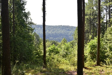 Chickamauga Lake Acreage For Sale in Guild Tennessee