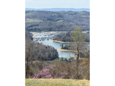 Lake Acreage For Sale in Maynardville, Tennessee
