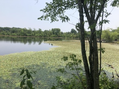 (private lake, pond, creek) Acreage For Sale in Alton Missouri