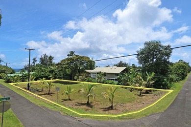 Prime Keaukaha Lot - Just Moments from the Beach! Build Your - photo 12
