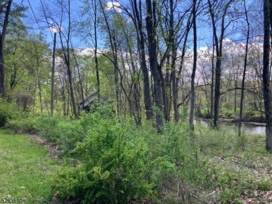 Lake Lot For Sale in Readington Twp., New Jersey