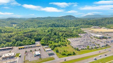 Prime Commercial Development Opportunity on Johnson City's Motor - photo 3