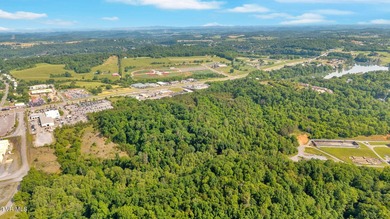 Prime Commercial Development Opportunity on Johnson City's Motor - photo 6