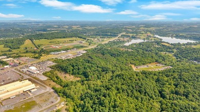 Prime Commercial Development Opportunity on Johnson City's Motor - photo 7