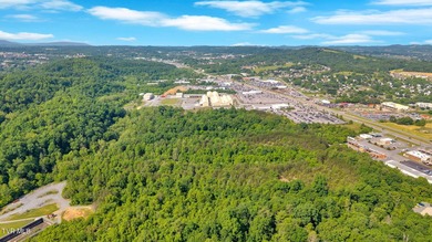 Prime Commercial Development Opportunity on Johnson City's Motor - photo 10