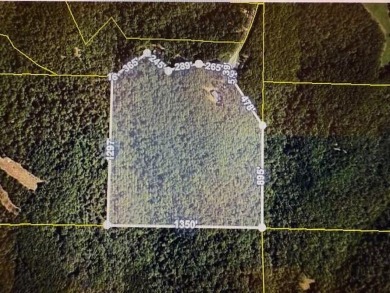 Lake Acreage For Sale in Sparta, Missouri