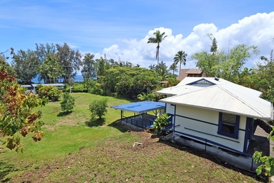 Welcome to your very own Hawaiian oasis in the heart of - photo 26