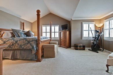 Stunning Home in Hawthorn Woods Country Club. Hardwood Floors - photo 27
