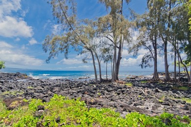 Welcome to your very own Hawaiian oasis in the heart of - photo 30