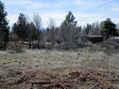 Agency Lake Lot For Sale in Chiloquin Oregon