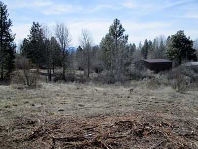 2 Residential Lots for a total of .74 of an acre. Minutes to - photo 2