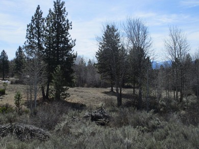 2 Residential Lots for a total of .74 of an acre. Minutes to - photo 3