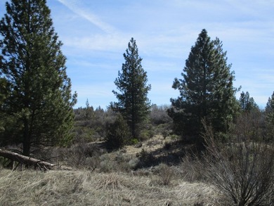 2 Residential Lots for a total of .74 of an acre. Minutes to - photo 4