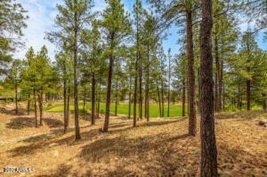 1734 E Mossy Oak CT 2, Flagstaff, AZ 86005. Experience your - photo 18