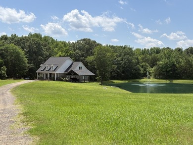 3992 Highway 309 S | Byhalia, MS | Marshall County Parcel - photo 48