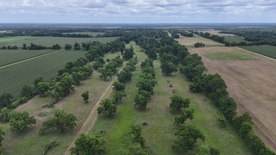 Discover a rare opportunity to own approximately 145 acres of - photo 10