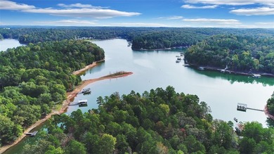 Lake Hartwell Lot For Sale in Lavonia Georgia