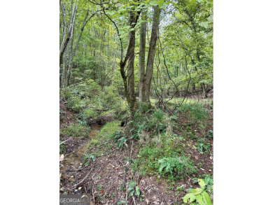 Lake Acreage For Sale in Cleveland, Georgia