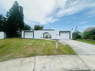 Lake Home For Sale in Holiday, Florida