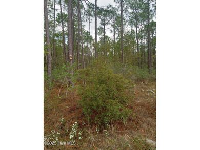 Boiling Spring Lake Lot Active Under Contract in Southport North Carolina