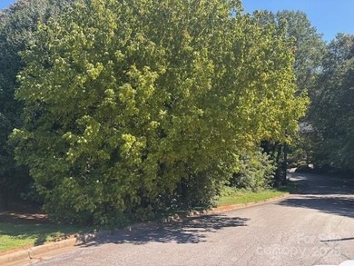 Lake Hickory Lot For Sale in Hickory North Carolina