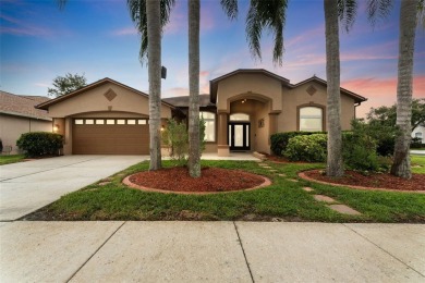 Lake Home For Sale in Land O Lakes, Florida