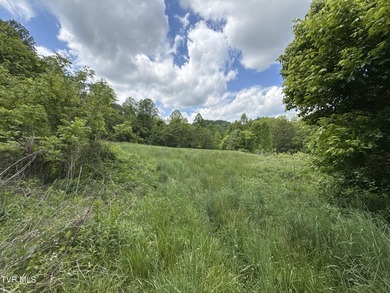 INVEST, HUNT, or ESCAPE! Located in the remote mountain country - photo 1