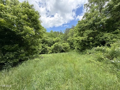INVEST, HUNT, or ESCAPE! Located in the remote mountain country - photo 2