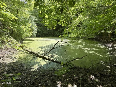 INVEST, HUNT, or ESCAPE! Located in the remote mountain country - photo 3