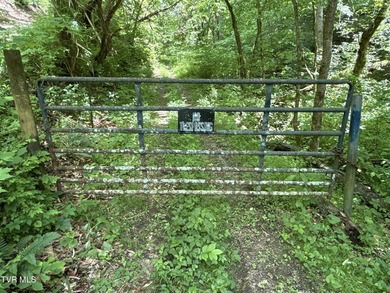 INVEST, HUNT, or ESCAPE! Located in the remote mountain country - photo 4