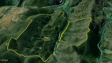 INVEST, HUNT, or ESCAPE! Located in the remote mountain country - photo 5