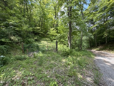 INVEST, HUNT, or ESCAPE! Located in the remote mountain country - photo 6