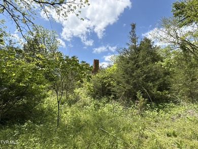 INVEST, HUNT, or ESCAPE! Located in the remote mountain country - photo 7