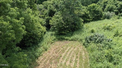 INVEST, HUNT, or ESCAPE! Located in the remote mountain country - photo 10