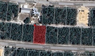 (private lake, pond, creek) Lot For Sale in Sebring Florida