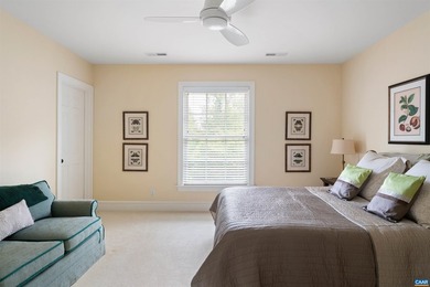 A rare opportunity to own one of Albemarle County's premier - photo 47