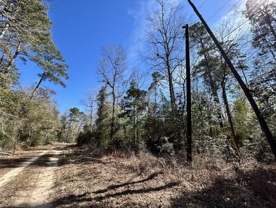 This 0.70-acre double lake district lot in Ivanhoe, Tyler County - photo 3