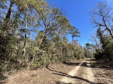 This 0.70-acre double lake district lot in Ivanhoe, Tyler County - photo 4