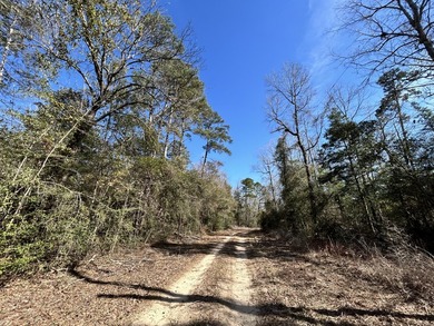 This 0.70-acre double lake district lot in Ivanhoe, Tyler County - photo 5