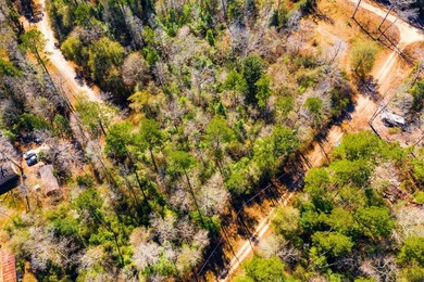 This 0.70-acre double lake district lot in Ivanhoe, Tyler County - photo 6