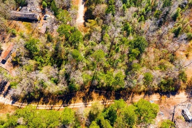This 0.70-acre double lake district lot in Ivanhoe, Tyler County - photo 7