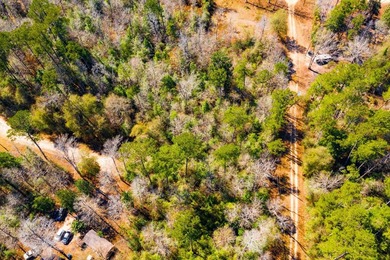 This 0.70-acre double lake district lot in Ivanhoe, Tyler County - photo 8