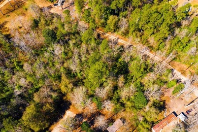 This 0.70-acre double lake district lot in Ivanhoe, Tyler County - photo 10