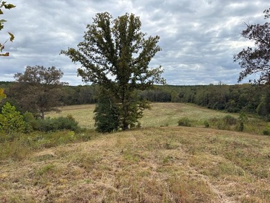 This property has two houses. The information above pertains to - photo 11