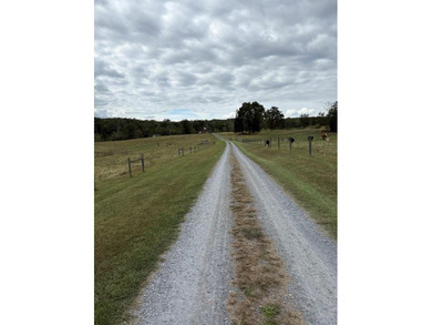 This property has two houses. The information above pertains to - photo 21