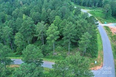 Lake Acreage For Sale in Connelly Springs, North Carolina
