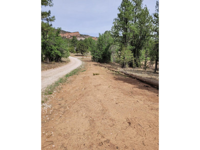 Lake Home For Sale in Ramah, New Mexico