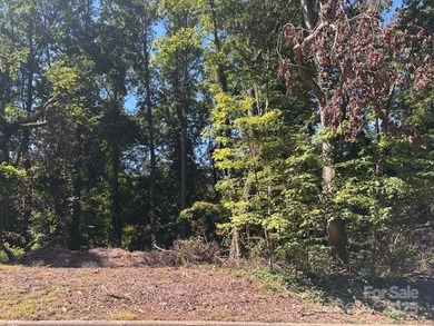 Lake Hickory Lot For Sale in Hickory North Carolina