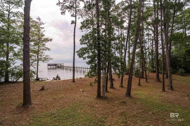 There's a stretch of shoreline in Fairhope where the land opens - photo 6